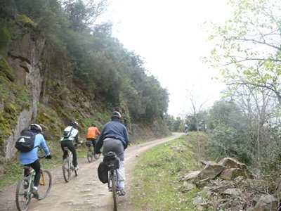 P1180387.jpg